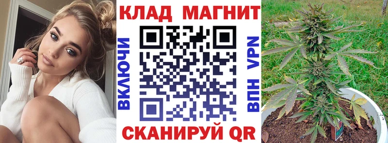 Где найти наркотики Новомичуринск MEGA зеркало  Меф  АМФЕТАМИН 
