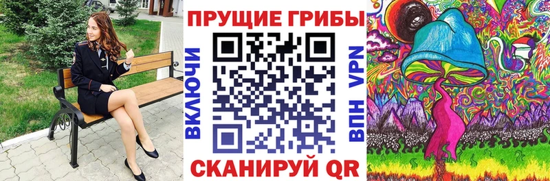 что такое наркотик Новомичуринск omg рабочий сайт Псилоцибиновые грибы мицелий