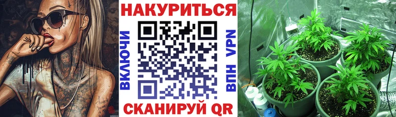 мега ONION  Новомичуринск  Конопля SATIVA & INDICA  как найти закладки 